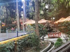 -二荆条·蜀鲜汇城市森林火锅