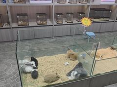 -百荣世贸商城