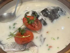 -全乐鱼馆·淳牌有机鱼直营店