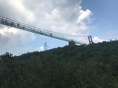 -铜川市金锁关石林