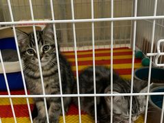 -三旗百汇商品城