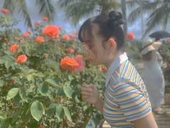 -亚龙湾国际玫瑰谷