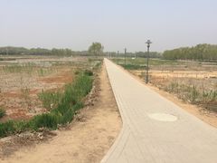 -大兴滨河森林公园