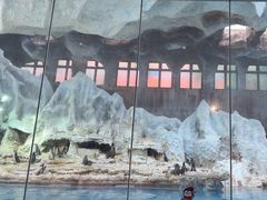 -帝企鹅自助餐厅•儿童岛•真企鹅(长隆企鹅酒店)