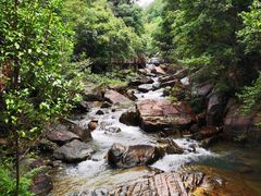 -广州白江湖森林公园