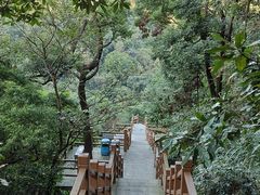 -广州市帽峰山景区