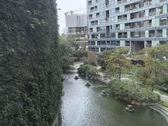 -春满园·早茶·粤菜·宴会(前海店)