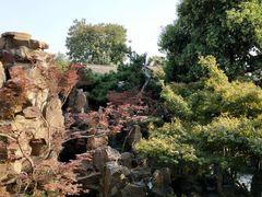 -东园小馆·早茶·淮扬小炒(宋夹城店)