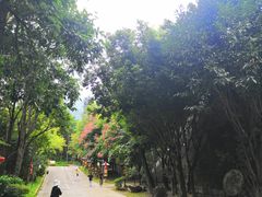 -天龙八部武侠城