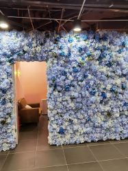 -doladola(徐家汇店)