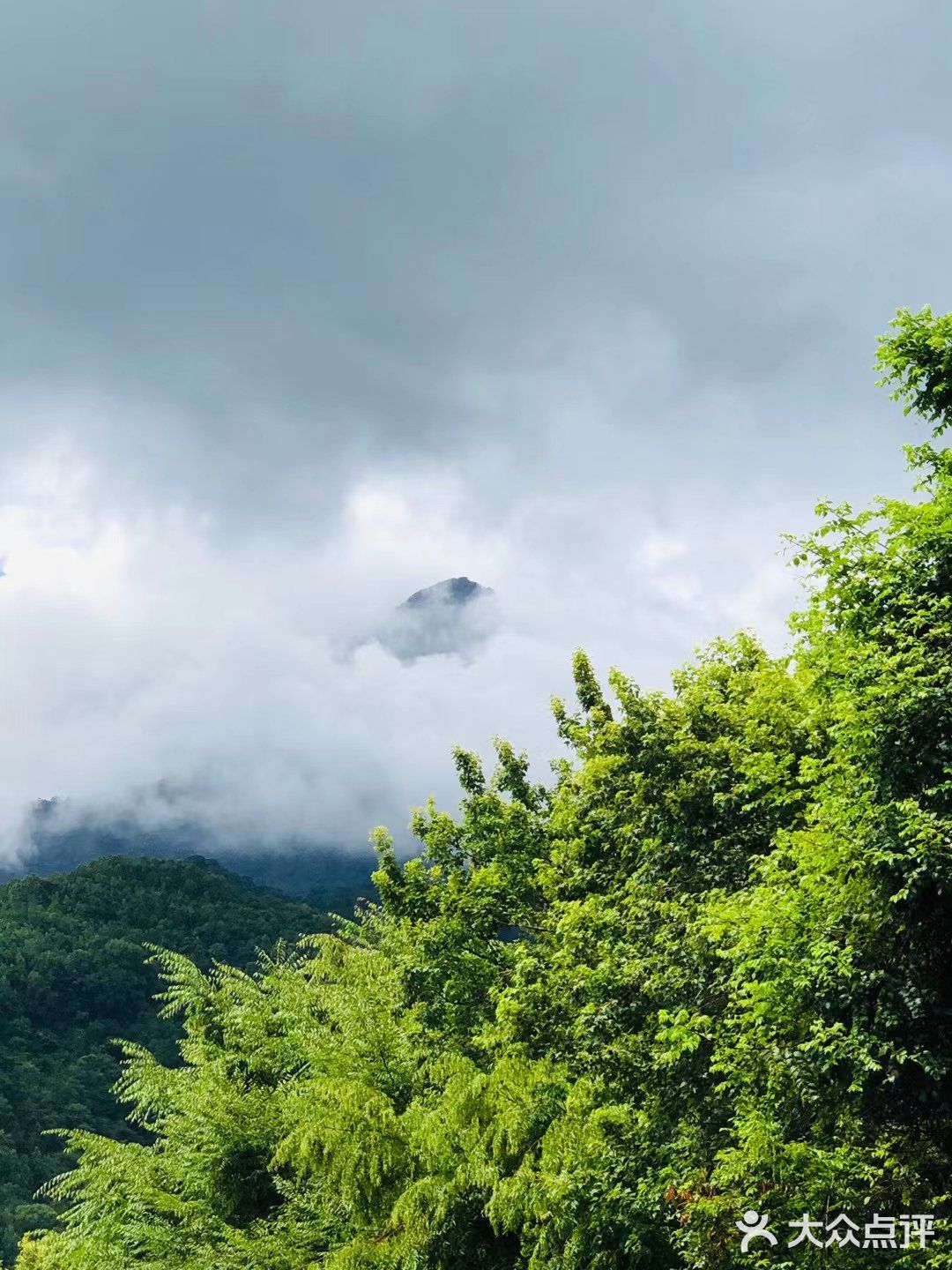 气候宜人，天热氧吧，非常合适养生和养心