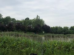 -两河城市森林公园