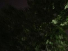 -沣峪森林公园龙潭戏水景区