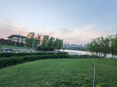 -马家湾湿地公园