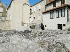 -圣多米努斯大教堂及钟楼(Sv. Dujma)