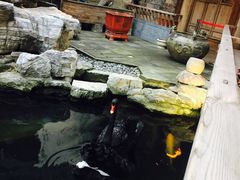 -荐悫堂(锦江新天地店)