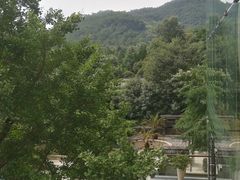 -逸廊大堂吧-下午茶·简餐-千岛湖自由洲际殿