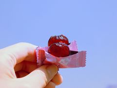 -便利蜂(广安门内大街319号店)