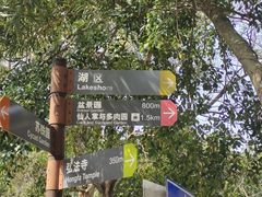 -深圳仙湖植物园