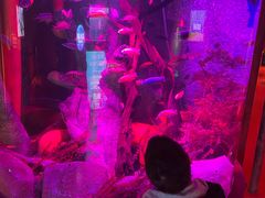 -沈阳海洋探索中心