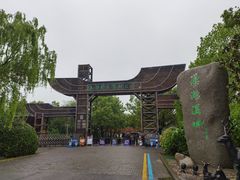 -溱湖国家湿地公园