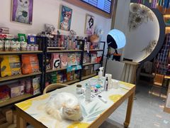 -山宅一喵德文卷毛猫舍