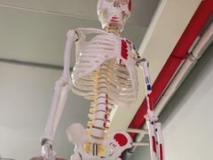 -YCHL Studios健身工作室(市二宫店)