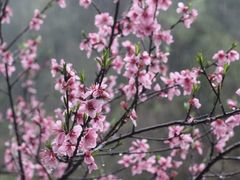 -遂昌金矿国家矿山公园