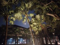 -椿杨樘·明康泡浴养生馆(重庆店)