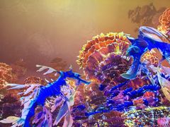 -海合安武汉极地海洋公园
