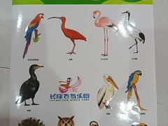 -广州长隆飞鸟乐园