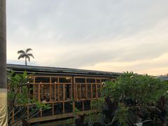 -花溪雨·森林餐厅(石基店)
