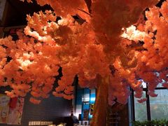 -乐园夜市场(五道口王庄路店)