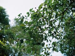 -Bracket Coffee(工体店)