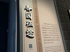 -北京国子监胡同