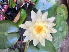 -南堂小馆·川菜馆(德商国际店)