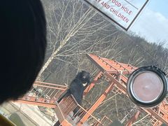 -栾川竹海野生动物园