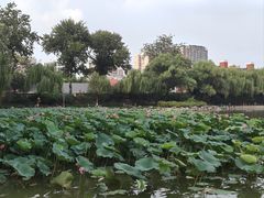 -中国农业博物馆