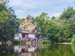 -深圳国际园林花卉博览园