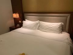 -宜春明月山维景国际温泉度假酒店