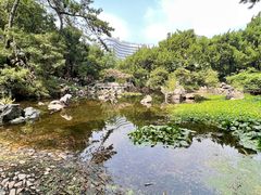 -叶家花园