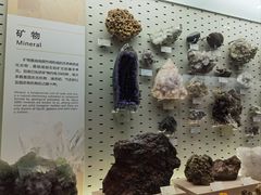 -浙江自然博物院(杭州馆)