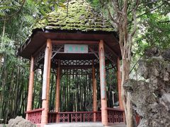 -望江楼公园