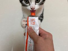 -lincat·猫舍(广州店)
