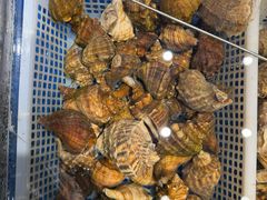 -连鹭海鲜·海肠捞饭·海胆饭(星海店)