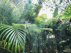 -碧桂园润杨溪谷温泉酒店