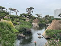 -罗红摄影艺术馆