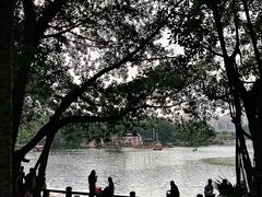 -荔湾湖公园