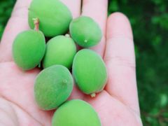 -长春公园(普阳街道)