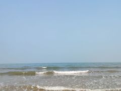 -渡海小渔村.老辈日照菜